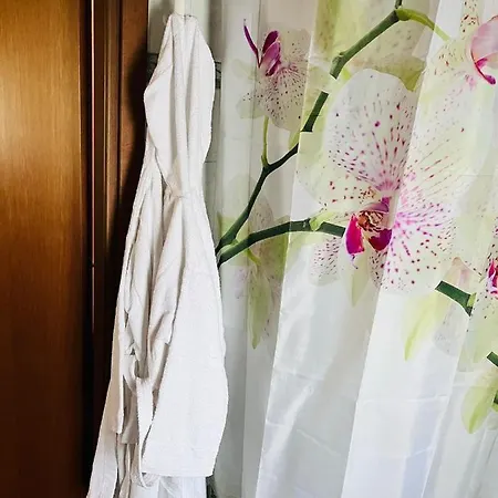 木屋 Alex
