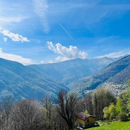 Alex Chalet