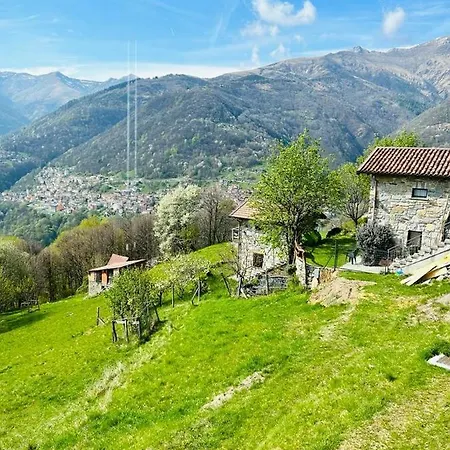 Chalet Alex Cavia